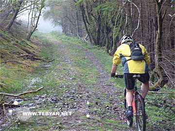 گالري عکس ورزشي